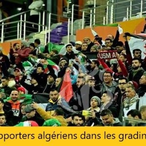 Quarts de finale CHAN Algérie 2022 :  Ce soir, Algérie-Côte d'Ivoire et Sénégal-Mauritanie