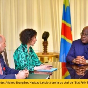 Guerre dans le Kivu : La Belgique veut aider Kinshasa et Kigali à la désescalade