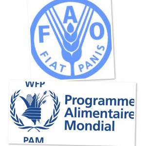 Insécurité alimentaire en RDC : La FAO et le PAM intensifient leurs actions pour soutenir les plus vunérables