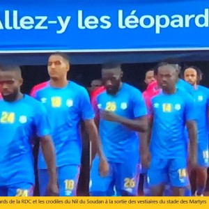 Phase finale de la CAN 2023 : Les Léopards de la RDC décrochent leur billet