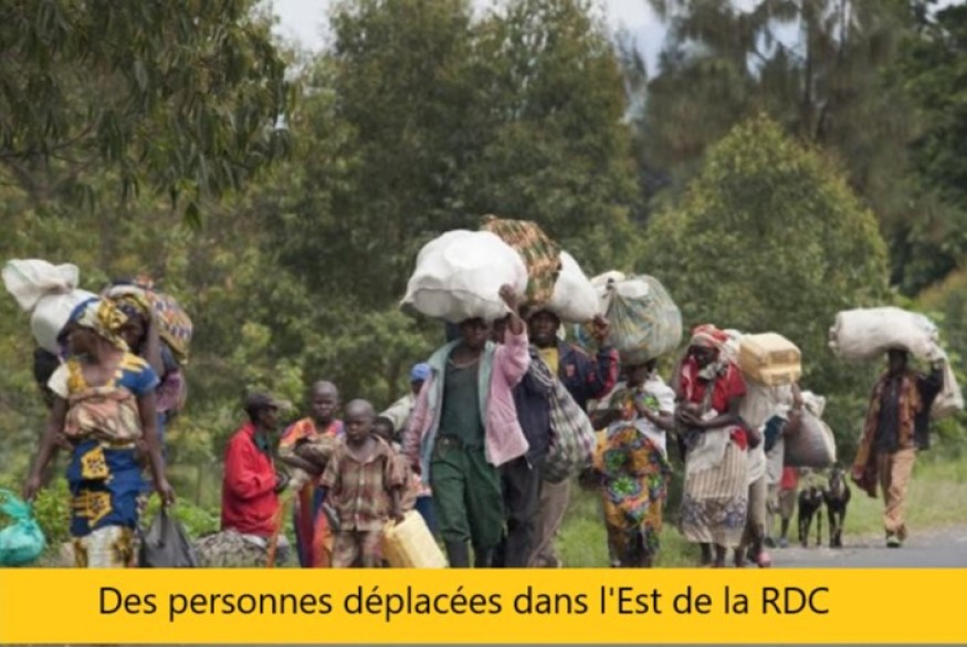 Dans l’Est de la RDC: " Cette guerre peut mettre l'humanité toute entière à genoux", s'alarme le coordinateur pays de TLP